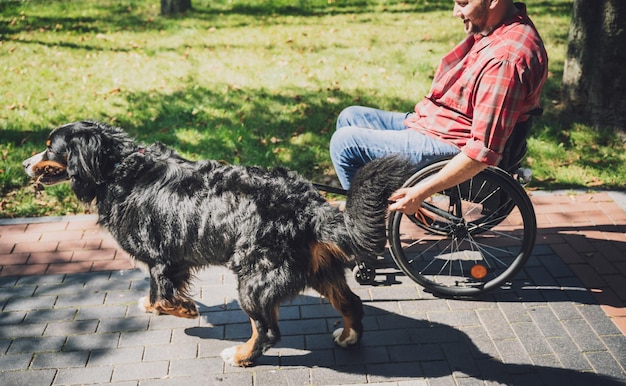 Felice giovane con una disabilità fisica che usa la sedia a rotelle con il suo cane