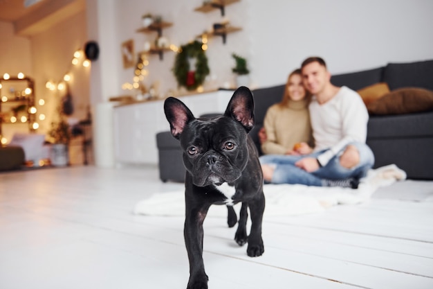 Felice giovane coppia moderna seduta sul divano di casa con il loro simpatico cane.