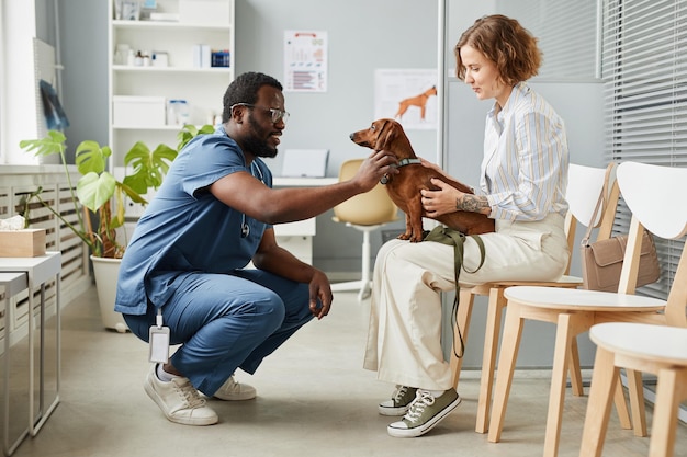 Felice giovane veterinario coccole carino bassotto marrone paziente seduto sulle ginocchia del suo proprietario prima del controllo veterinario