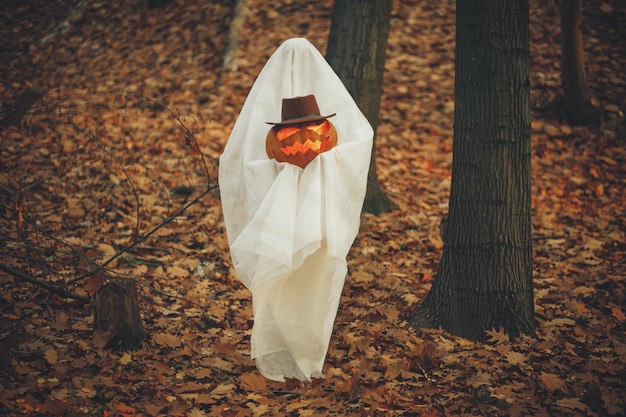 Felice Halloween Fantasma alla moda che tiene jack o lanterna nella foresta autunnale lunatica Persona vestita con un lenzuolo bianco come fantasma con zucca in piedi nei boschi autunnali serali Dolcetto o scherzetto