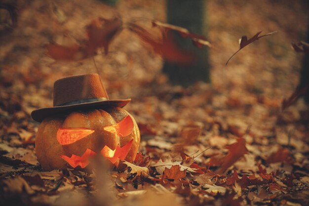 Felice Halloween Jack o lanterna in cappello su foglie autunnali nella lunatica foresta oscura Spettrale atmosfera halloween zucca intagliata nei boschi autunnali della sera Dolcetto o scherzetto Copia spazio