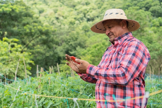 Felice lavoratore con un telefono cellulare in piedi in un campo