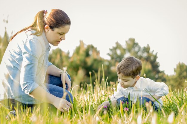 Felice madre incinta e figlio carino che raccolgono un mazzo di fiori in un campo soleggiato