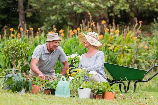 Felice nonna e nonno di giardinaggio