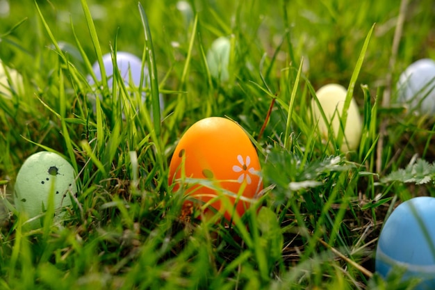 Felice Pasqua uova di Pasqua sull'erba in un soleggiato giorno di primavera striscia di decorazione di Pasqua