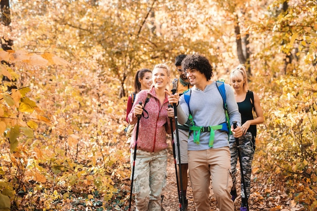 Felice piccolo gruppo di escursionisti che esplorano il bosco in autunno.