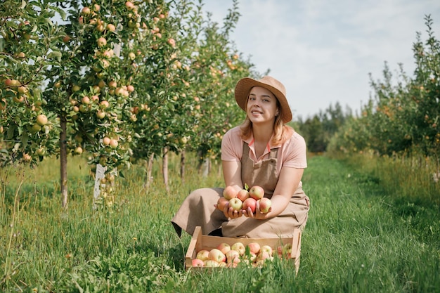 Felice sorridente contadino lavoratore raccolto raccolto mele fresche mature nel giardino del frutteto durante il raccolto autunnale Tempo di raccolta