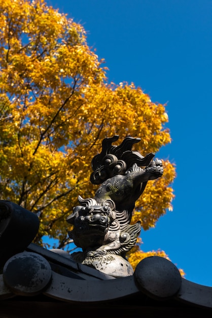 Felice statua del cane leone a testa in giù con i piedi in alto sul tetto del tempio giapponese foglie autunnali gialle