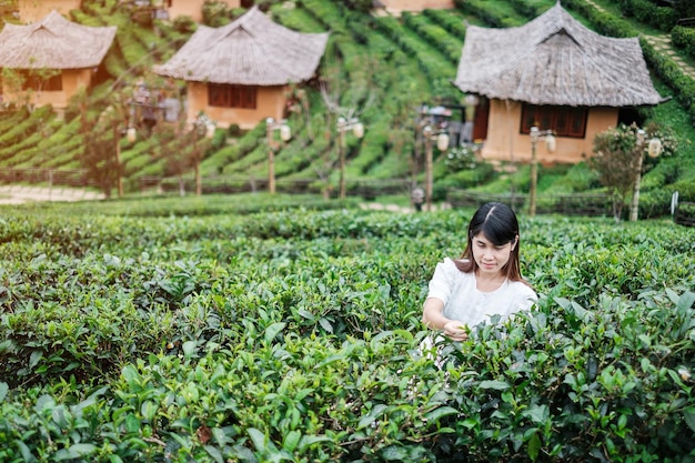 Felice turista donna in abito bianco godetevi il bellissimo giardino del tèViaggiatore che visita nel villaggio tailandese di Ban Rak Mae Hong Son Thailandia viaggio vacanza e concetto di vacanza