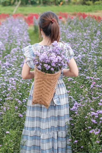 Felice turista donna in abito blu godere in viola Margaret fiori giardino viaggio natura vacanza e concetto di vacanza