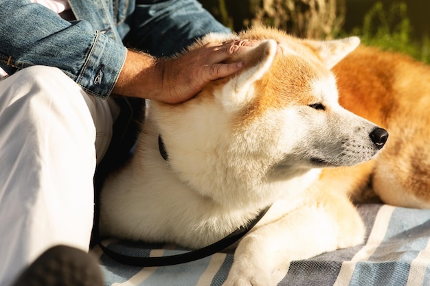 Felice vecchio europeo in casual gode di camminare e riposare con il cane che accarezza l'animale si siede all'aperto