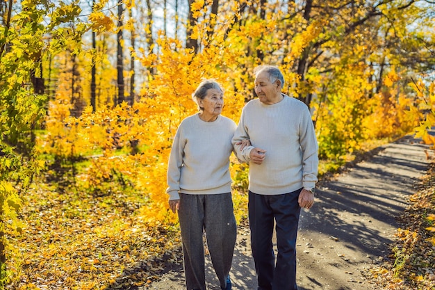 Felici gli anziani nella foresta autunnale. concetto di famiglia, età, stagione e persone - coppia senior felice che cammina sopra la priorità bassa degli alberi di autunno.