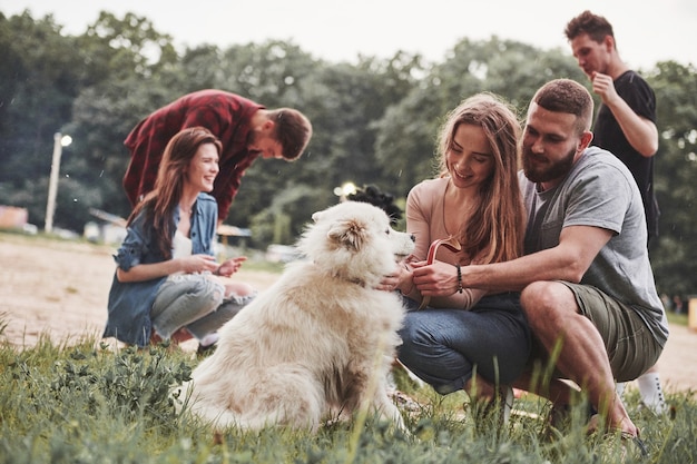 Felici proprietari di un simpatico cane. Un gruppo di persone fa un picnic sulla spiaggia. Gli amici si divertono durante il fine settimana.