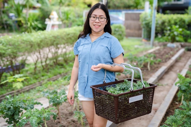 Felicità asiatica Giovane contadina con cavolo verde fresco in cestino in un orto biologico nella fattoria a casa utile per la salute e ad alto contenuto di antiossidanti