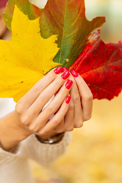 Felicità ragazza con foglie d'acero colorate autunnali luminose nelle sue mani primo piano Umore autunnale