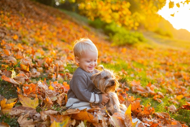 Felicità semplice. Gioco da bambini con il cane dell'Yorkshire terrier. Il ragazzo del bambino si gode l'autunno con un amico cane. Piccolo bambino in una soleggiata giornata autunnale a piedi con il cane. Infanzia felice. Dolci ricordi d'infanzia