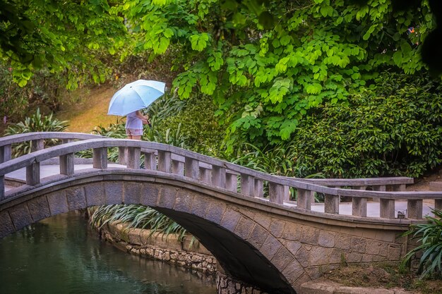 Femmina con un ombrello in piedi su un ponte