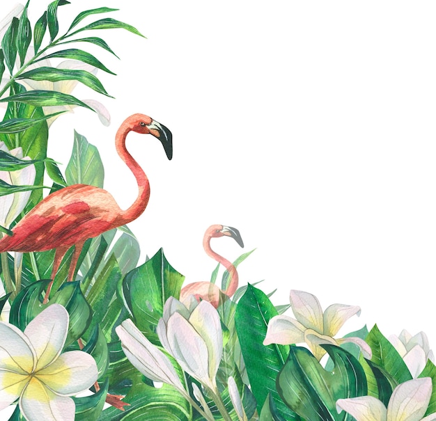 Fenicotteri rosa tra foglie di palma tropicali monstera e fiori di plumeria Illustrazione ad acquerello Banner della collezione BEACH BAR Per la progettazione e la decorazione di cartoline poster menu