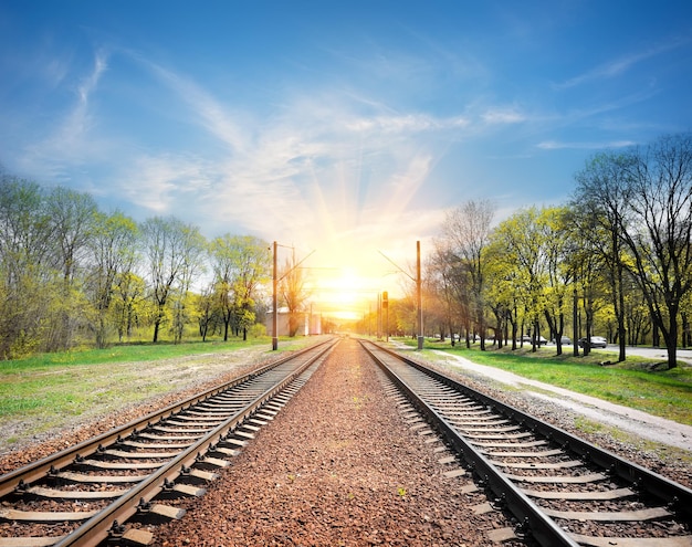 Ferrovia all'alba nella soleggiata giornata primaverile