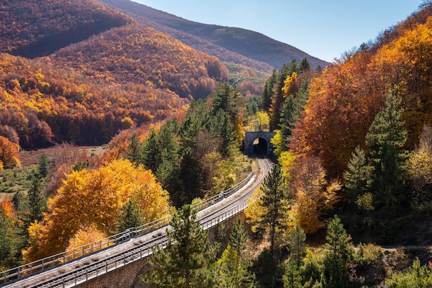 Ferrovia con un tunnel sul ponte che passa nella foresta autunnale in montagna