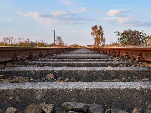 Ferrovia e alberi abbandonati