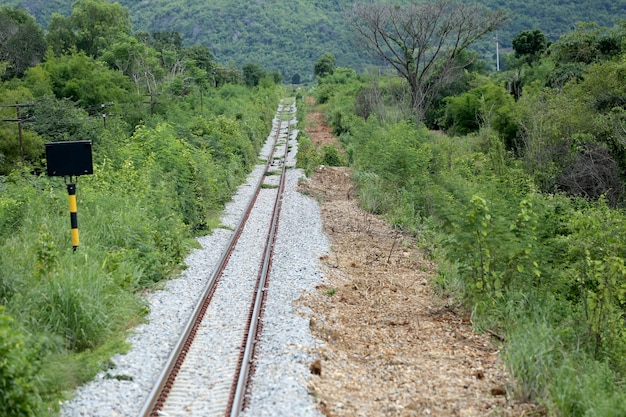 Ferrovia in campagna.