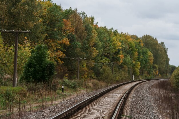 Ferrovia nella foresta in autunno un giorno nuvoloso