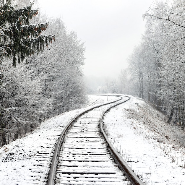 Ferrovia nella neve. Paesaggio invernale con binari vuoti