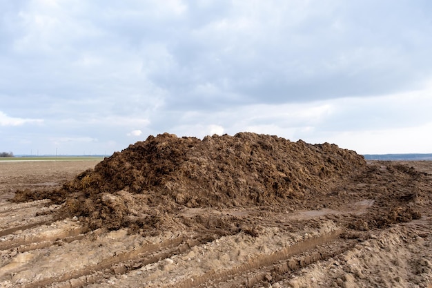 Fertilizzante naturale sul letame dei campi