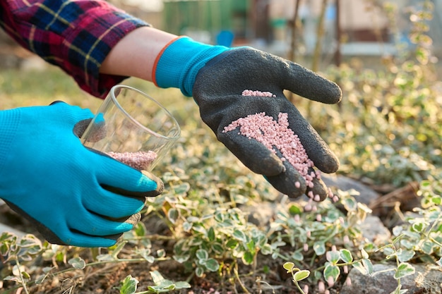 Fertilizzare piante in un giardino primaverile con fertilizzanti chimici minerali graduati