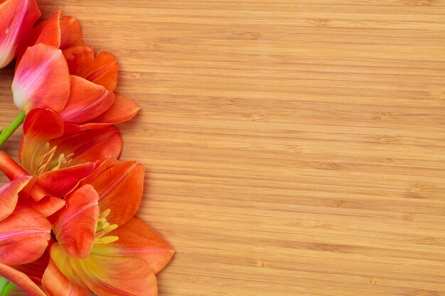 Festa della Donna. Mazzo dei tulipani sulle plance di legno, spazio della copia, vista superiore