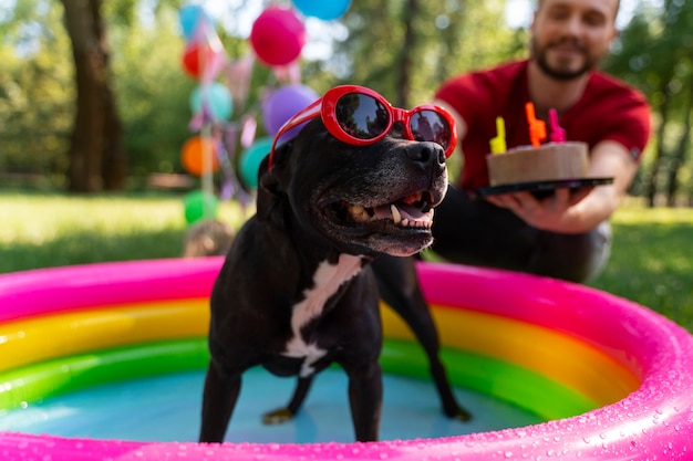 Festa di compleanno in piscina per cani