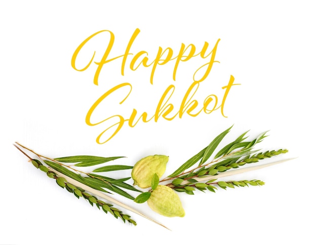 Festa ebraica di Sukkot Simboli tradizionali Le quattro specie Etrog cedro lulav ramo di palma hadas mirto arava salice