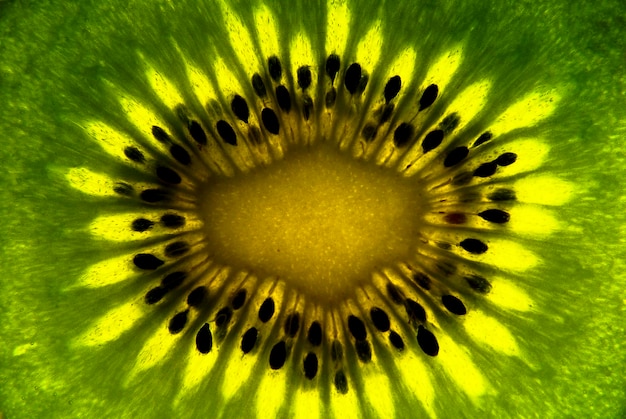 fetta di kiwi contro luce, vista ravvicinata, frutta di colore verde