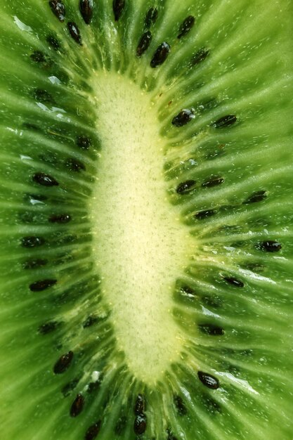 Fetta di kiwi