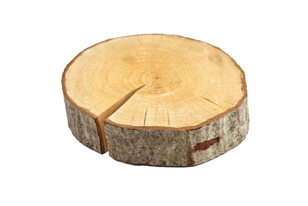 Fetta di legno con corteccia isolata su bianco