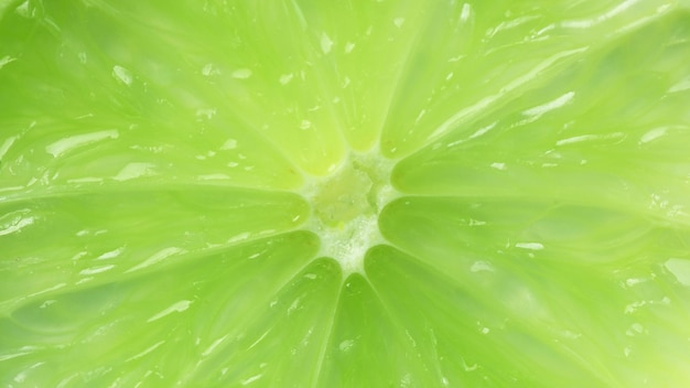 Fetta di lime macro texture Lime agrumi sfondo