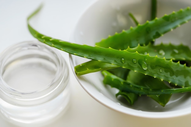 Fetta di pianta di aloe vera e vasetto di gel. Concetto di bellezza.