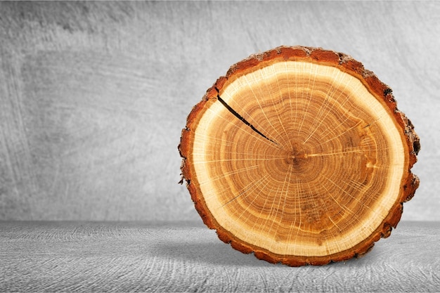 Fetta rotonda di legno isolata