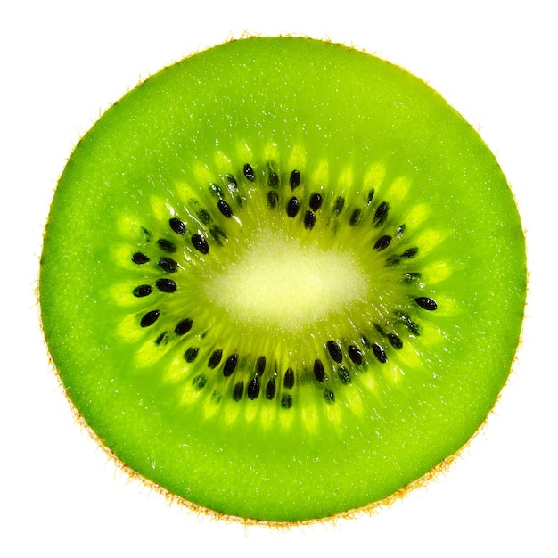 Fetta rotonda perfetta di kiwi fresco isolato su sfondo bianco senza ombre Immagine di ripresa macro con dettagli elevati