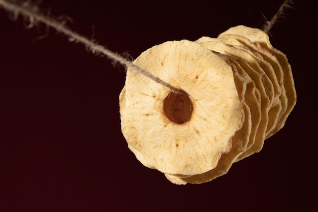 Fette di mela essiccate su una corda su uno sfondo scuro con spazio vuoto per il testo