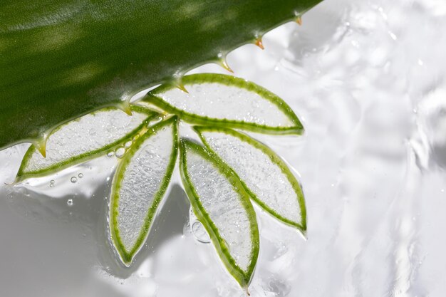 Fette e foglie di aloe di fondo in gel curativo idratante