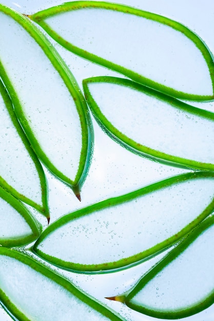 Fette strutturate di aloe vera con acqua frizzante o gel su sfondo bianco