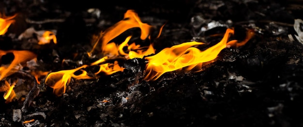Fiamma calore fuoco sfondo astratto sfondo nero concetto di fiamma realistico