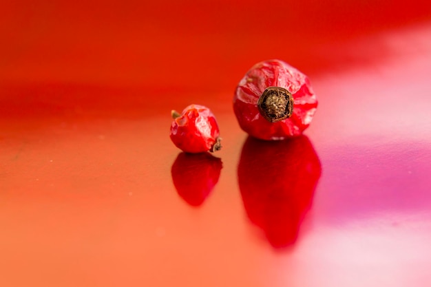 Fianchi secchi di rosa canina su sfondo rosso