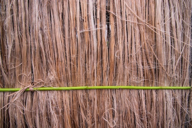 Fibra di iuta grezza bagnata dorata appesa alla luce del sole per l'essiccazione Sfondo di texture in fibra di iuta dorata