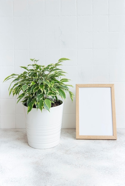 Ficus benjamin e mock up poster frame sul tavolo