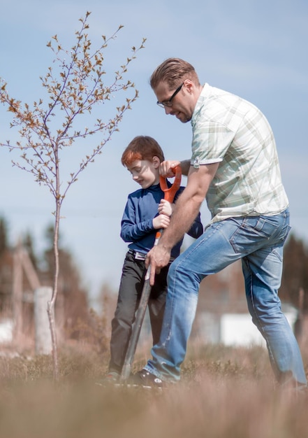 Figlio e padre piantano un albero insieme