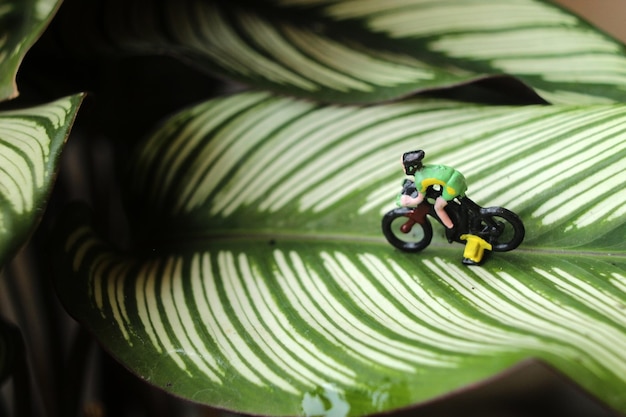 Figura in miniatura ciclista sulla fotografia macro in foglia