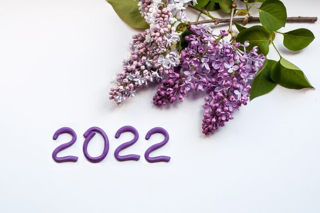 Figure 2022 fatte di plastilina viola su sfondo bianco con fiori lilla nell'angolo
